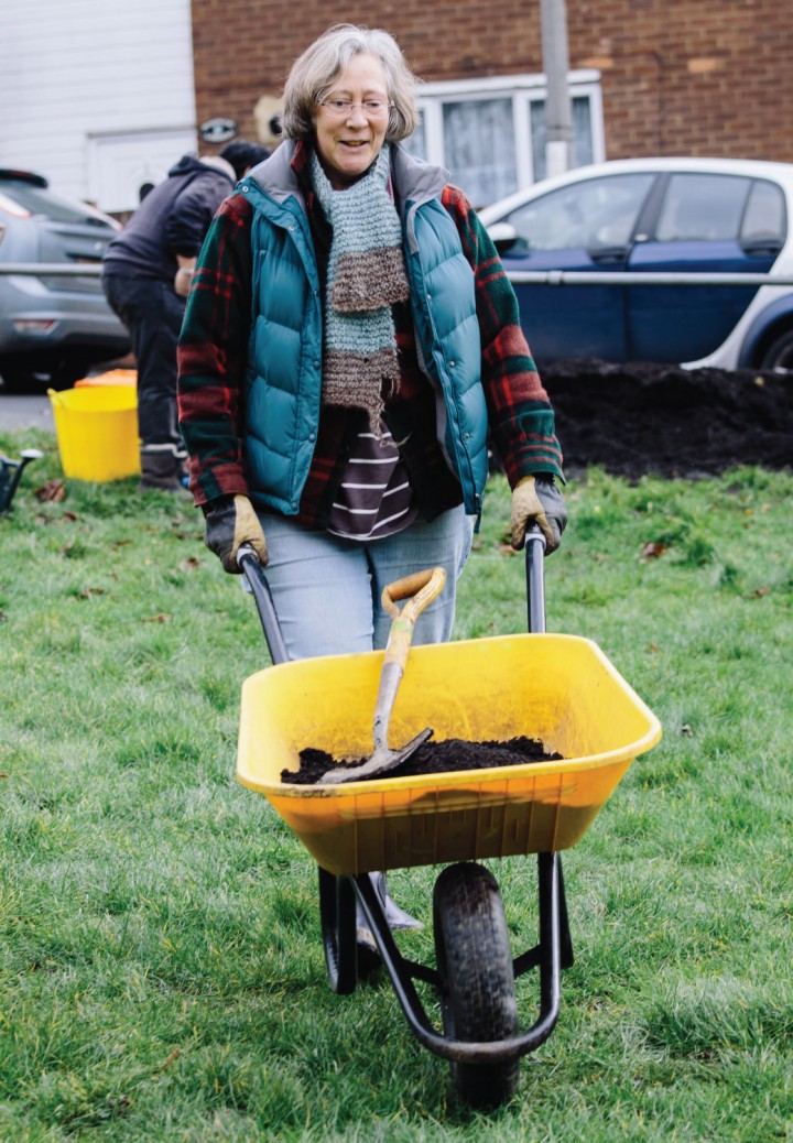 Urban-orchard-wheelbarrow