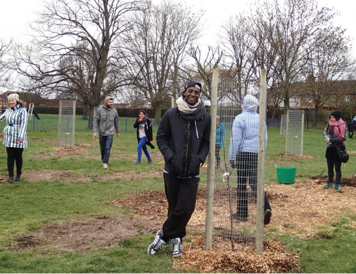 UrbanOrchard-tree-planting