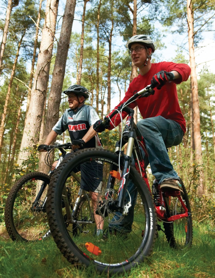 bikeforest