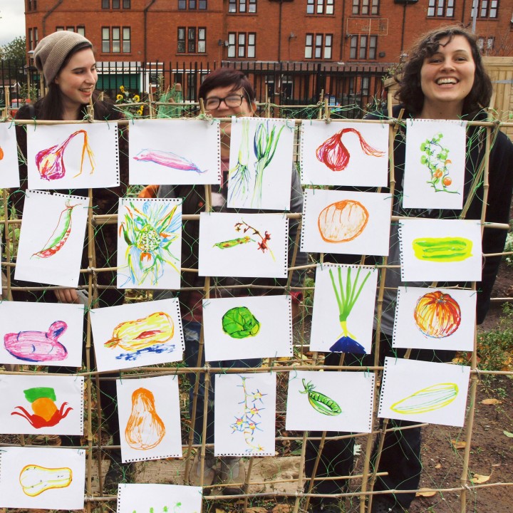 1040sketches-displayed-on-bean-frame