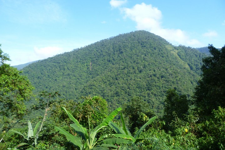 1040Lush-vegetation-and-mountains-surounding-the-Lost-City-in-Colombia