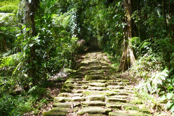 1040You'll-have-to-climb-stone-stairs-to-get-to-the-Lost-City-in-Colombia