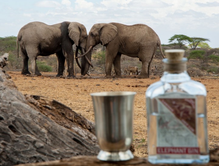 1040EG_Elephants-&-Gin---Ol-Donyo-2