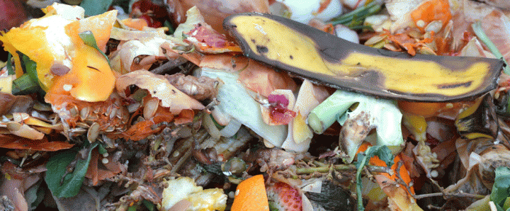 waste-foodcompost-709020_1920